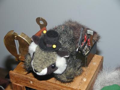 Racky the racoon and compass