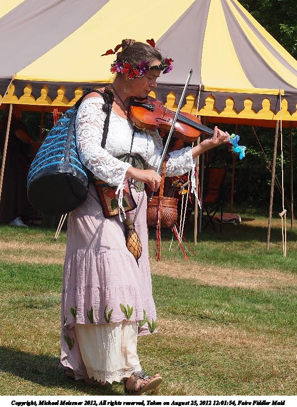 Faire Fiddler Maid #4