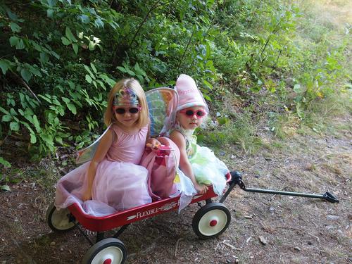 Fairy princesses #2