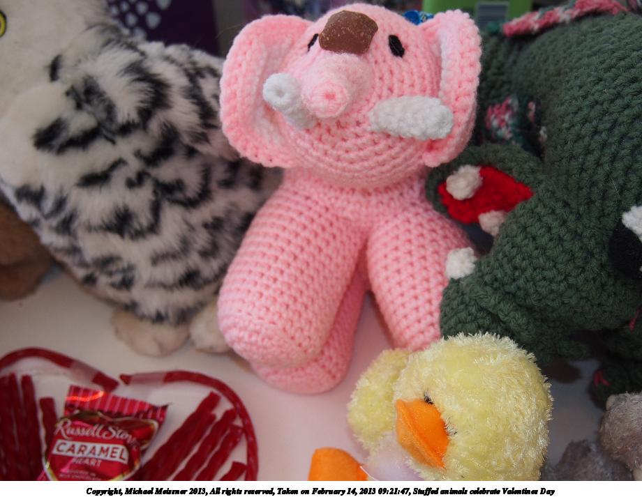 Stuffed animals celebrate Valentines Day #4