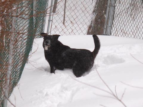 But, I don't want to come in....