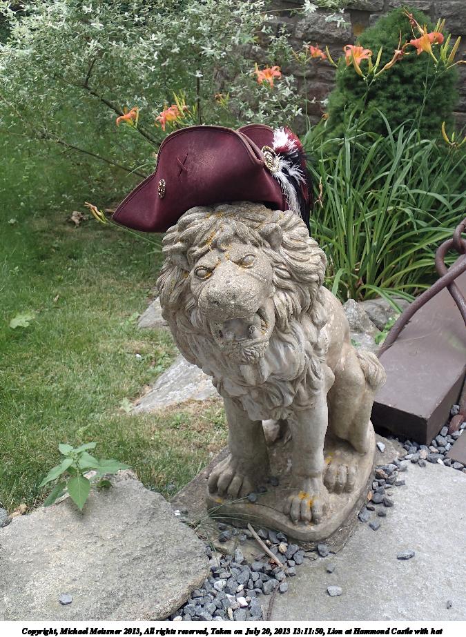 Lion at Hammond Castle with hat #2