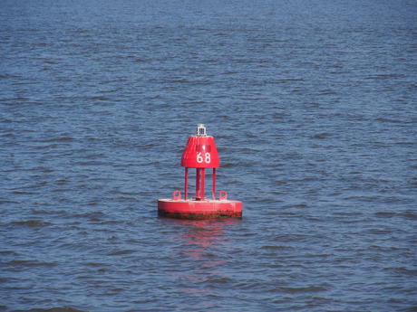 Buoy
