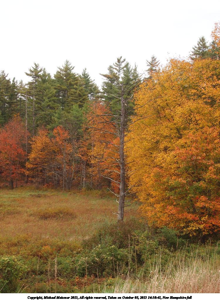 New Hampshire fall #4
