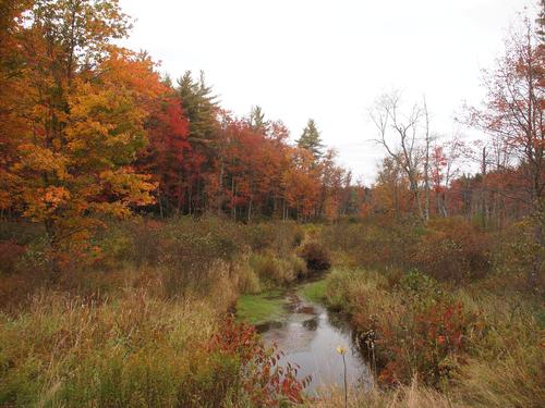 New Hampshire fall #2