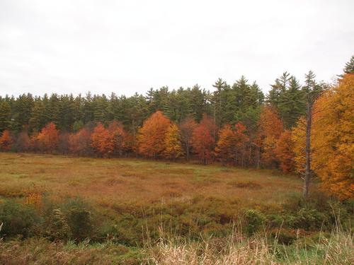 New Hampshire fall #3