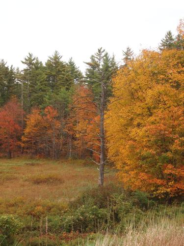 New Hampshire fall #4