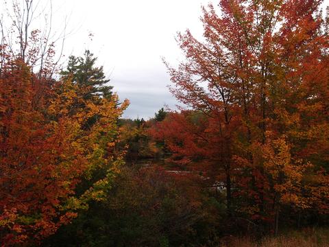 New Hampshire fall #7