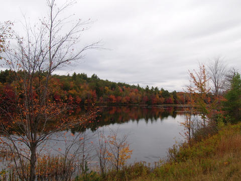 New Hampshire fall #8