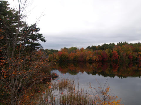 New Hampshire fall #9