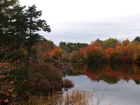 New Hampshire fall #11
