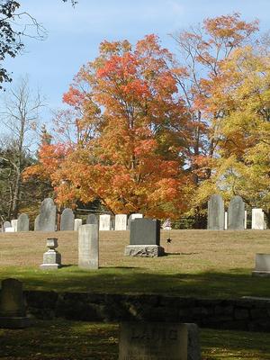 Fall in the graveyard #3