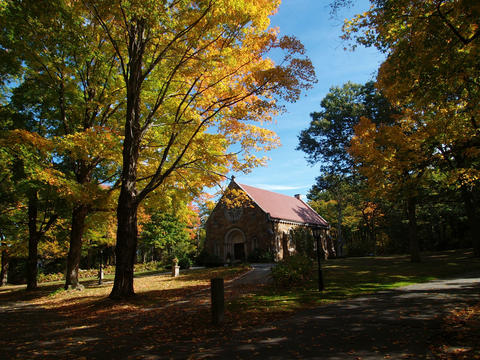 Fall in the graveyard #4