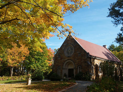 Fall in the graveyard #5