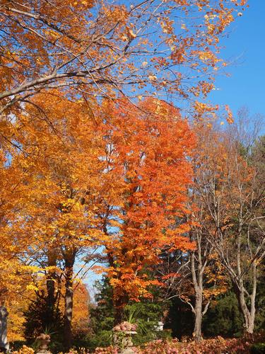 Fall in the graveyard #9