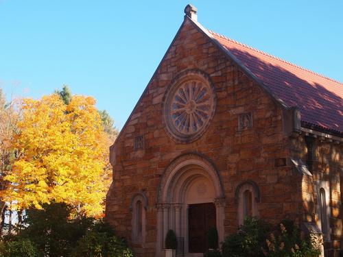 Fall in the graveyard #10