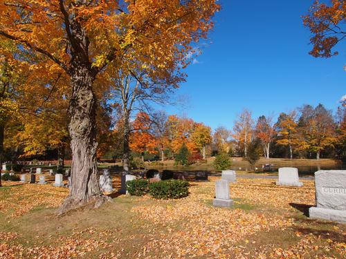 Fall in the graveyard #14