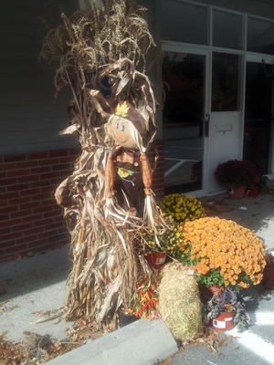 Halloween displays #2