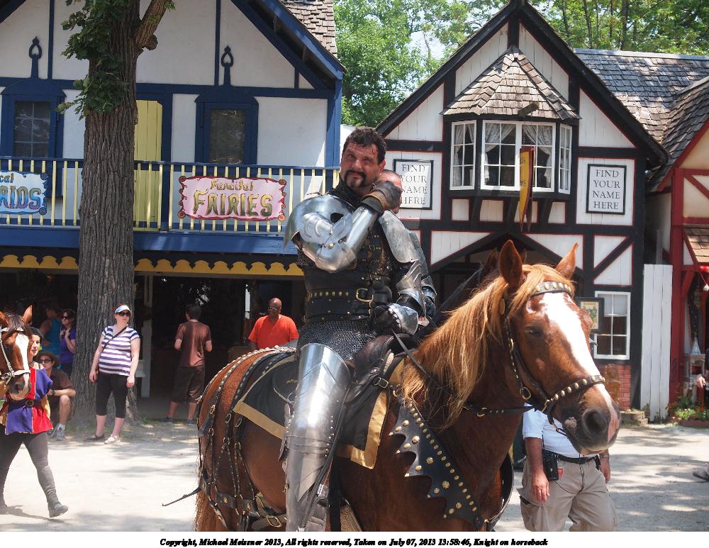 Knight on horseback #2