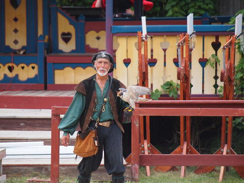 Royal Falconer and a falcon