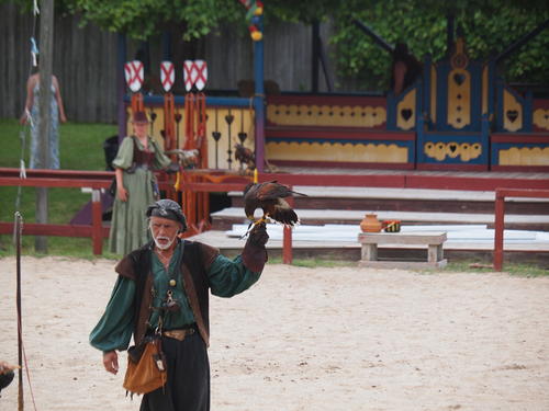 Let me see if I can escape these jesses