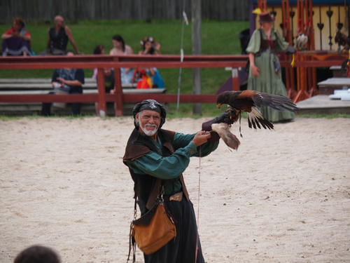 Royal falconer and falcon
