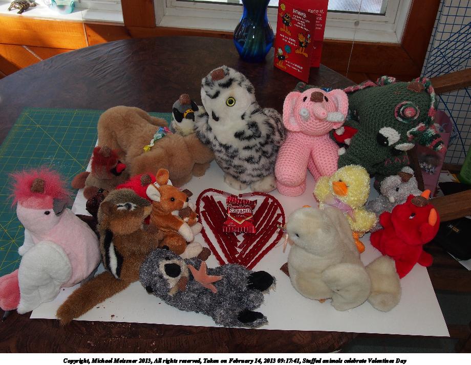 Stuffed animals celebrate Valentines Day