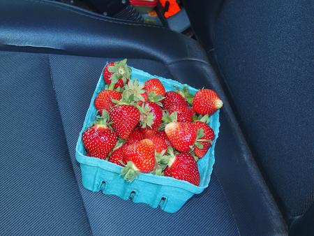 First native strawberries