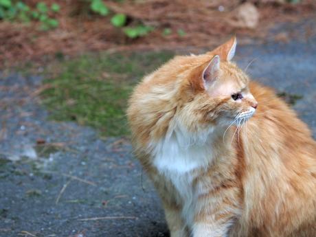 This is my good side