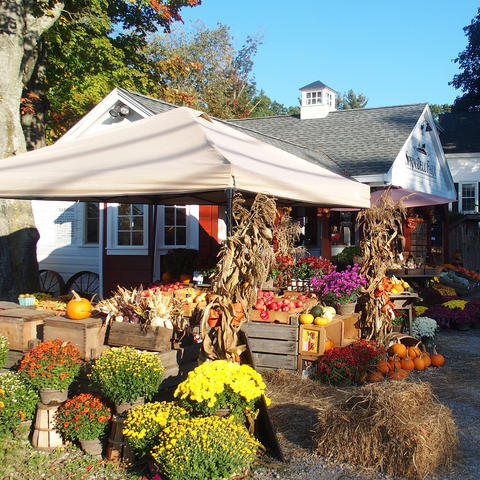 Fall at Springdell Farm #2