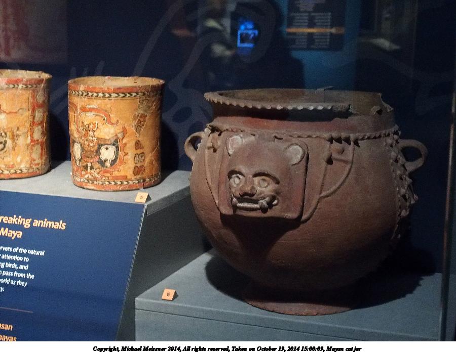 Mayan cat jar