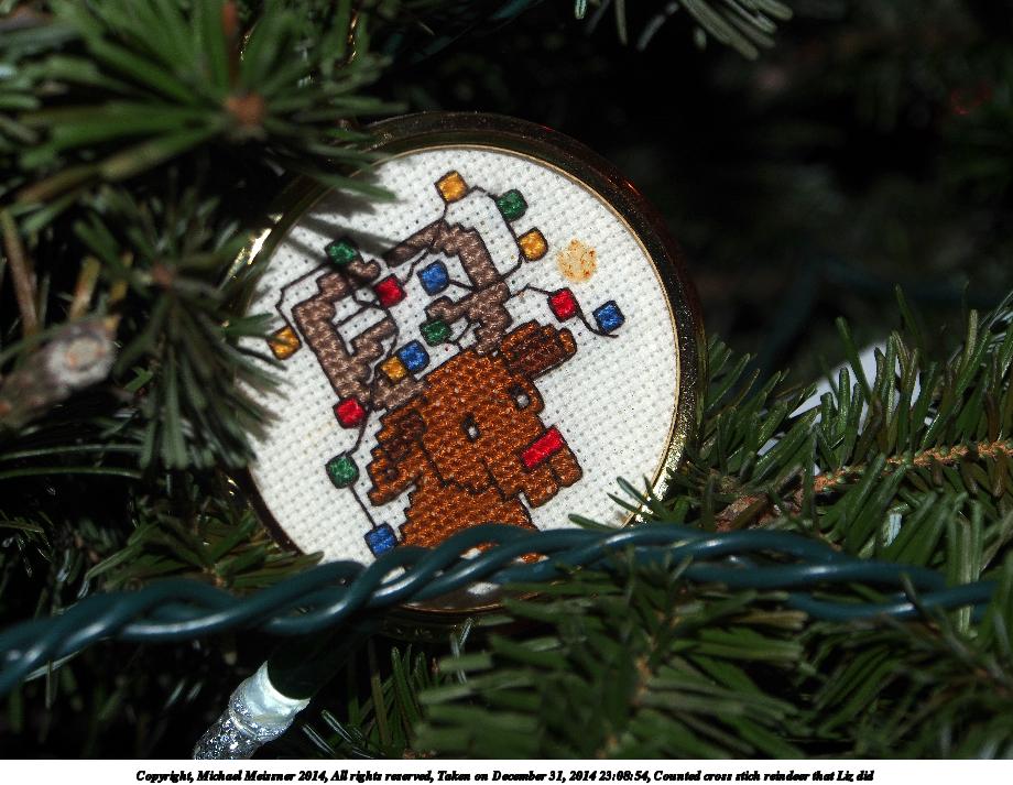 Counted cross stich reindeer that Liz did