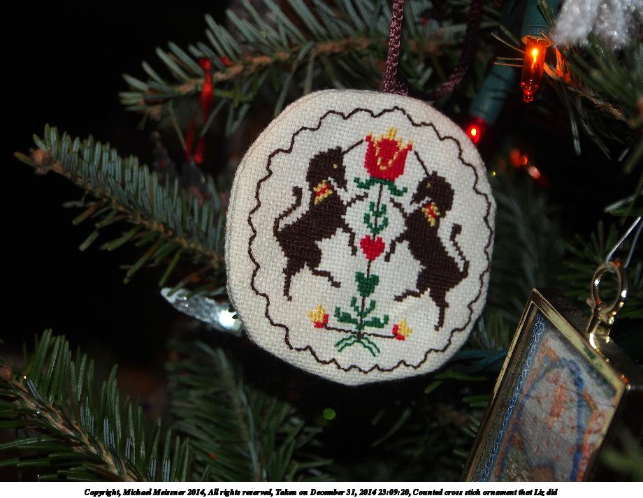 Counted cross stich ornament that Liz did