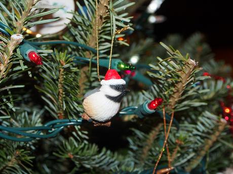 Christmas bird ornament