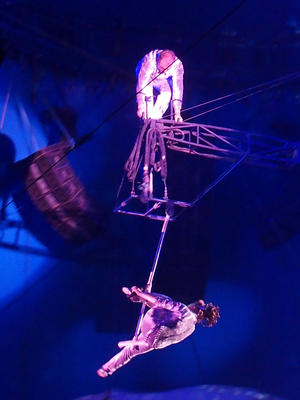 Irene and Giovanni - aerial artists #4