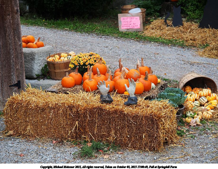 Fall at Springdell Farm #9