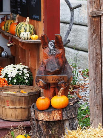 Fall at Springdell Farm #11