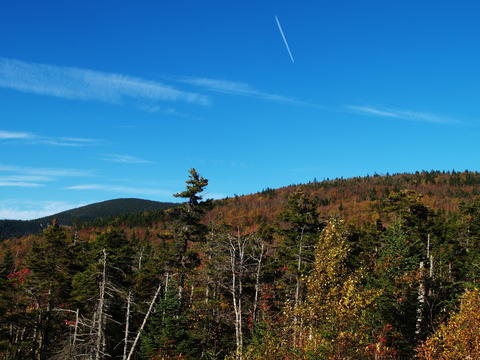 Fall leaves and contrails #2