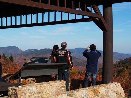 Enjoying the view
