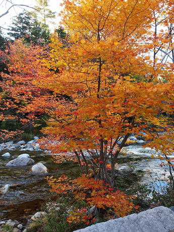 New Hampshire fall #11