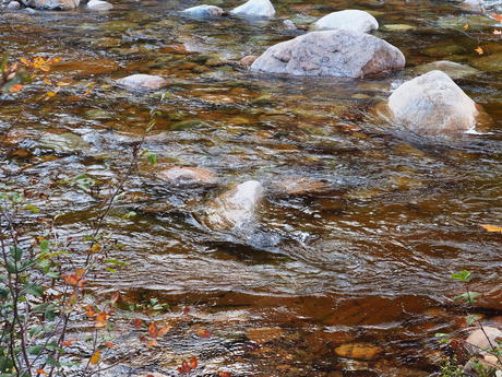 Flowing water