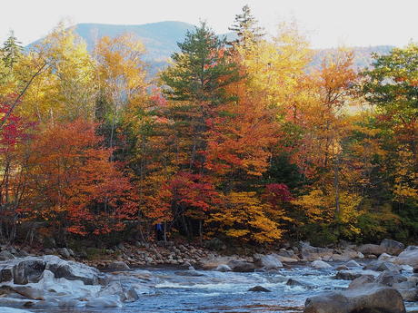 New Hampshire fall #19