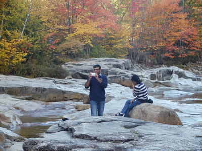 Capturing fall images