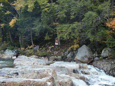 No swimming