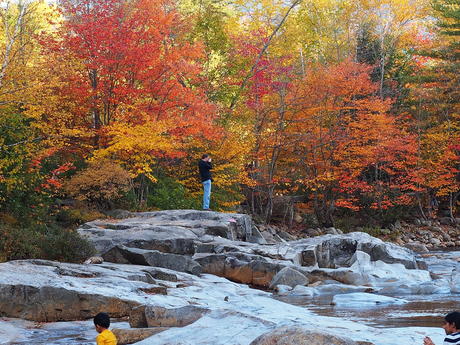 Capturing fall images #2