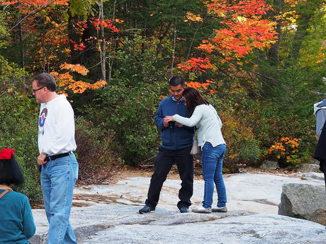 Capturing fall images #3