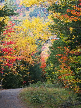 New Hampshire fall #20