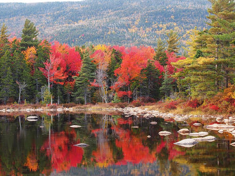 Fall on the Kancamagus Scenic Byway #4