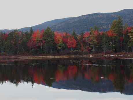 Fall on the Kancamagus Scenic Byway #5