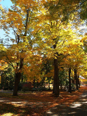 Andover Massachusetts' West Parish Garden Cemetery in fall #2